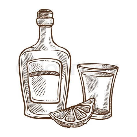 Tequila Bottle Vector at GetDrawings | Free download