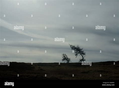 Yorkshire Moors landscape Stock Photo - Alamy