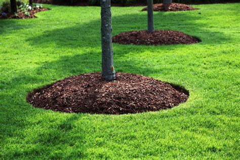 3 Myths About Mulches - Jim's Mowing NZ