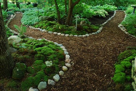 25 Types of Moss Garden Ideas To Try This Year | SharonSable