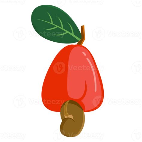 Baixar personagem de caju bonito e kawaii castanha de caju e frutas com xilogravura de folha ...