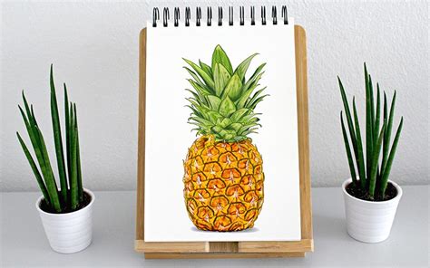 Step By Step To Draw A Pineapple Easily | My XXX Hot Girl