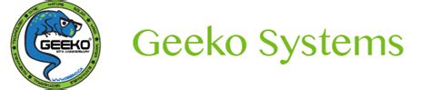 Geeko Systems - Video to DVD conversion