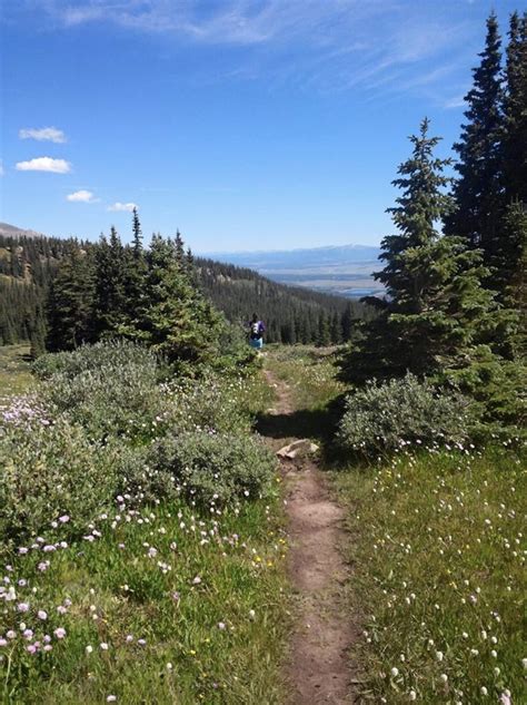 Planning and Prepping for a Colorado Trail Section Hike - All Women All Trails