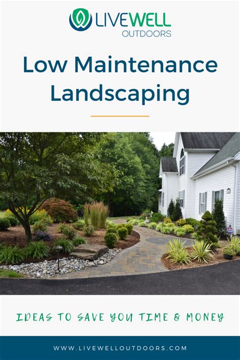 Low-Maintenance Landscaping Saves You Time and Money but Still Looks Beautiful - Live Well Outdoors