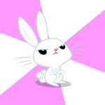 Angry bunny Meme Generator - Imgflip