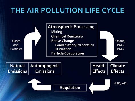 Environmental health concern: Impacts of air pollution on the brain