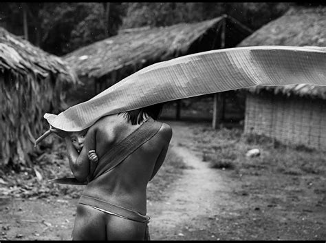 Sebastião Salgado Has Seen the Forest, Now He's Seeing the Trees ...