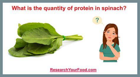 What is the quantity of protein in spinach? | Research Your Food