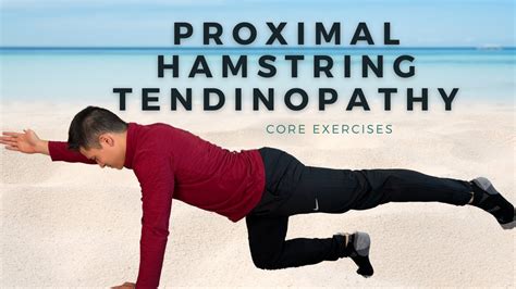 Hamstring Injury Exercises Proximal Hamstring Tendinopathy Exercise ...