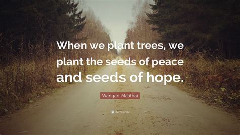 Wangari Maathai Quote: “When we plant trees, we plant the seeds of ...