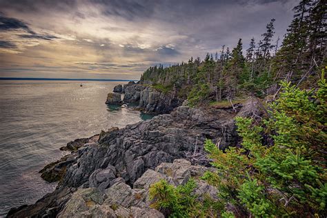 Quoddy Head State Park Photograph by Rick Berk - Fine Art America