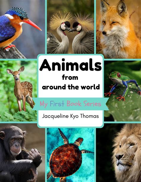 Animals From Around the World: My First Book Series by Jacqueline Kyo ...