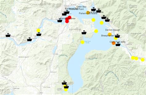 Looking for walleye in Lake Pend Oreille? We've got you covered ...