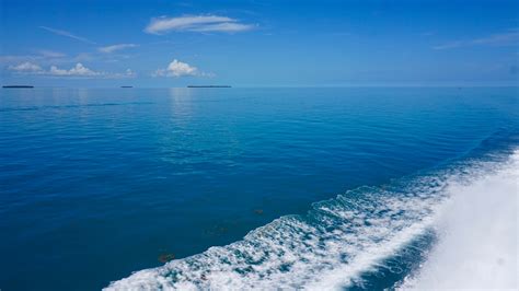 Calusa Waters and the Florida Keys | Trails & Travel