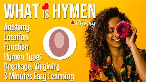 What is hymen? Hymen structure anatomy, Function, Types of hymen, Hymen breakage, Virginity ...