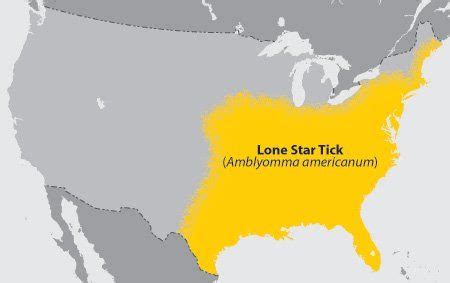 Map of lone star tick distribution | Lone star, Lonely, Stars