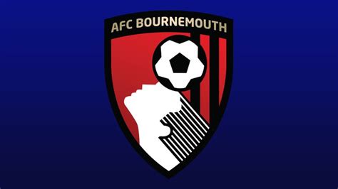 Bournemouth team and player season stats in the Premier League 2018/19 | Football News | Sky Sports