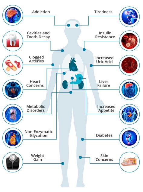 The Effects of Sugar on the Body