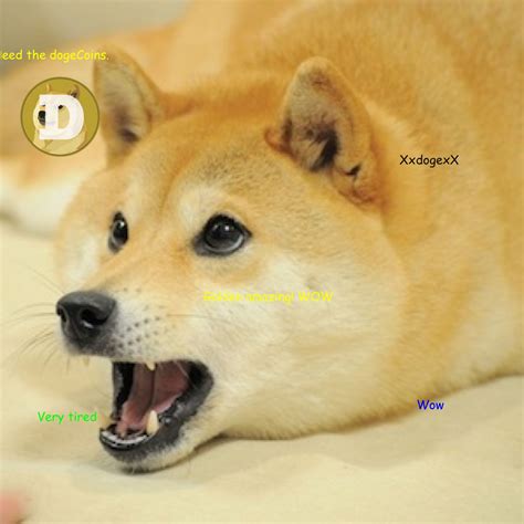 MLG DOGE!!! Oh! | Doge meme, Shiba inu, Dog tracker