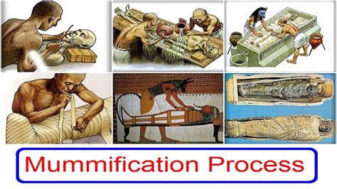 The Mummification Process How Ancient Egyptians Prese - vrogue.co