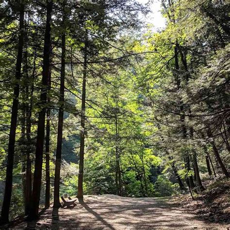 Stony Brook State Park | Day Trips Around Rochester, NY