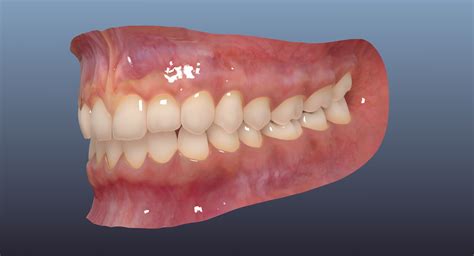 Mouth 3D Model $99 - .fbx .obj .ma - Free3D