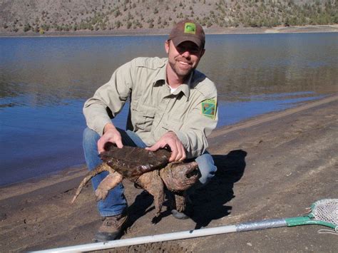 Prineville Reservoir - Alchetron, The Free Social Encyclopedia