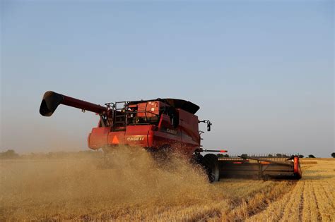 Wheat Harvest - James Pratt