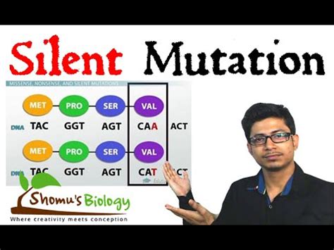 Silent mutation - YouTube