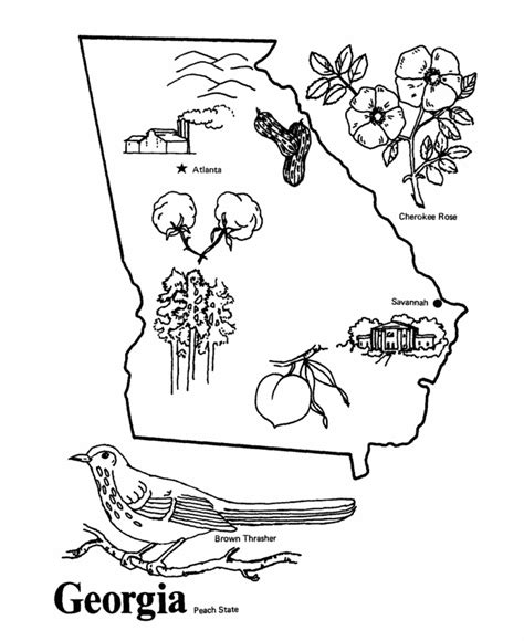 USA-Printables: Georgis State outline and demographic map - State of Georgia Coloring Pages