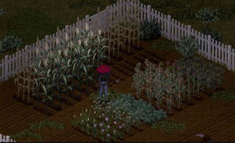 Project Zomboid: Farming System is Being Overhauled