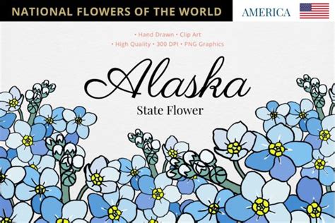 Alaska State Flower Graphic by Hanatist Studio · Creative Fabrica