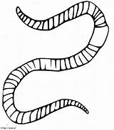 Normal Earthworm coloring Page sketch template