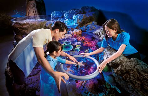 [Skip-the-Line] SEA LIFE & Madame Tussauds Bangkok Tickets in Bangkok ...