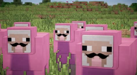 He is my most favorite character lol Minecraft pink sheep | Minecraft, Rosas, Animales