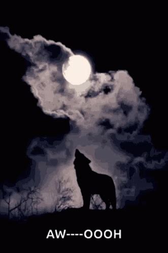 Howling Wolf Full Moon GIF - Howling Wolf Full Moon Cloudy - Discover ...