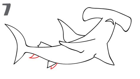 How To Draw a Hammerhead Shark - Step-by-Step