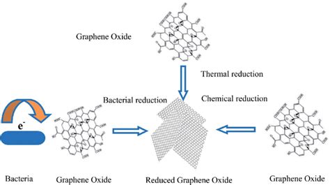 Schematic methods for constructing reduced graphene oxide. | Download Scientific Diagram