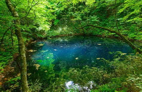 Shirakami-Sanchi in Aomori, Japan 1420449 Stock Photo at Vecteezy