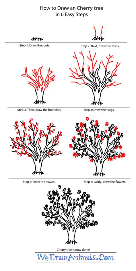 Cherry Blossom Tree Drawing Step By Step at GetDrawings | Free download