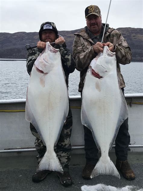 Alaska Halibut Season 2025 - Hetty Laraine