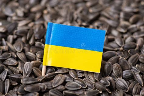 Ukraine Flag on Sunflower Seeds Stock Image - Image of flag, farming ...