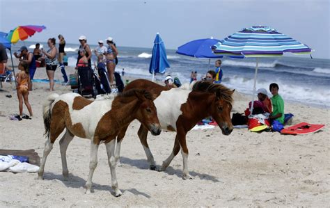 Ocean City beach guide - WTOP News