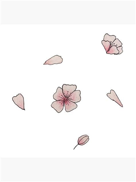 "Cherry Blossom Flower Drawing" Poster by kyliepiach | Redbubble