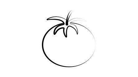 Shiny Tomato Drawing Vector Images (34)