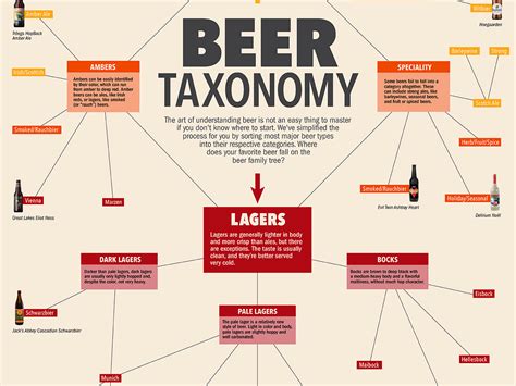 Different Types Of Beer - Business Insider