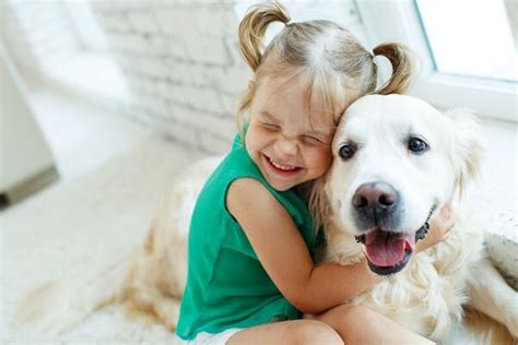 LAS MEJORES RAZAS DE PERROS PARA NIÑOS – HOSPITAL VETERINARIO EN MEXICO ...