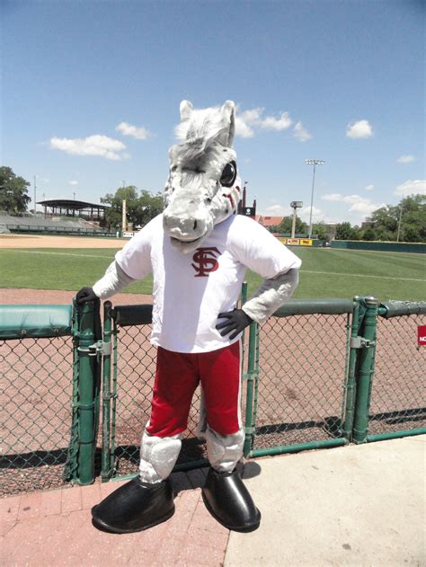 Florida State revives Cimarron character to promote athletics - Florida State University News