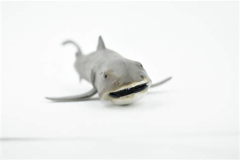 Shark, Megamouth Shark, Megachasma pelagios, Museum Quality, Rubber ...